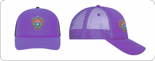 (Bild für) 5 Panel Retro Mesh Cap UN Veterans Logo Adler (3 Farben)